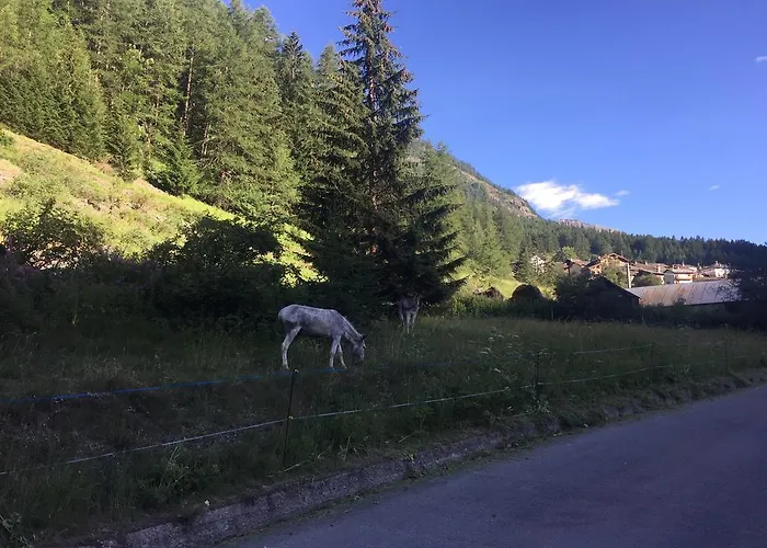 Hotel Camping Grivola