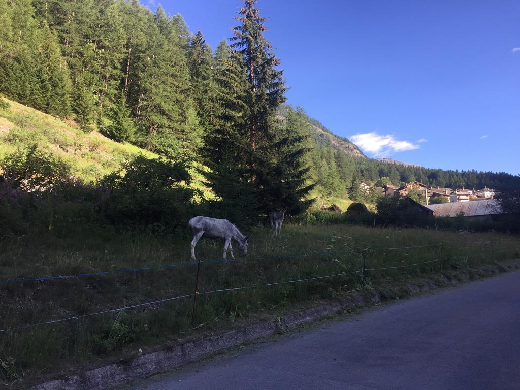 Camping Grivola 2*