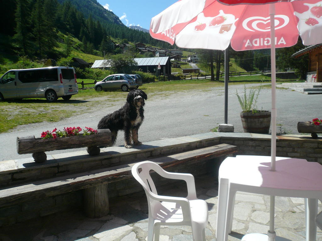 Camping Grivola Valsavarenche